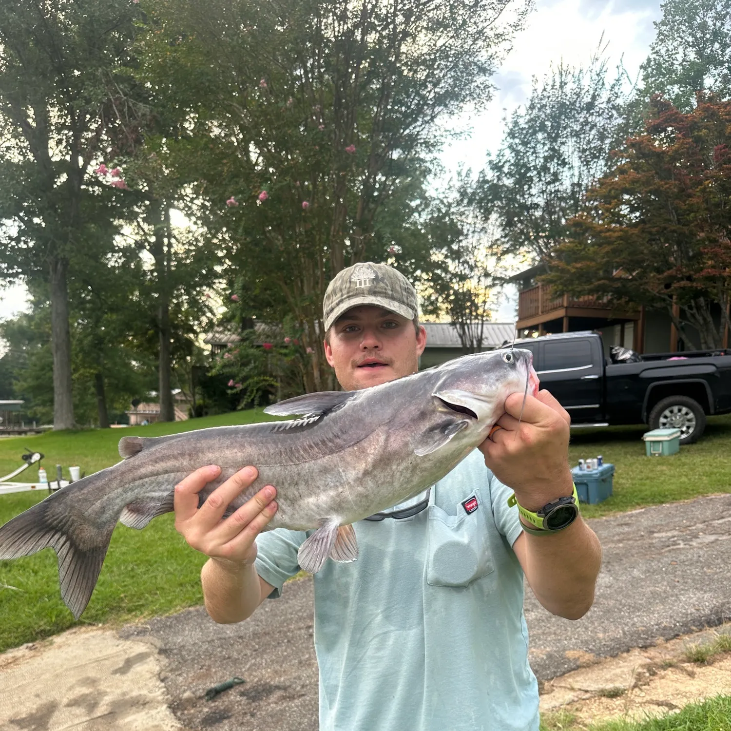 recently logged catches