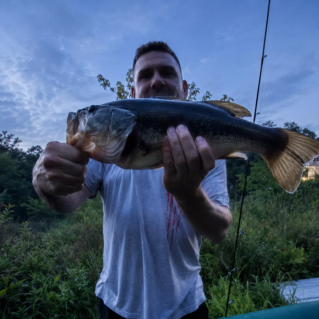 Largemouth bass caught on Fishbrain