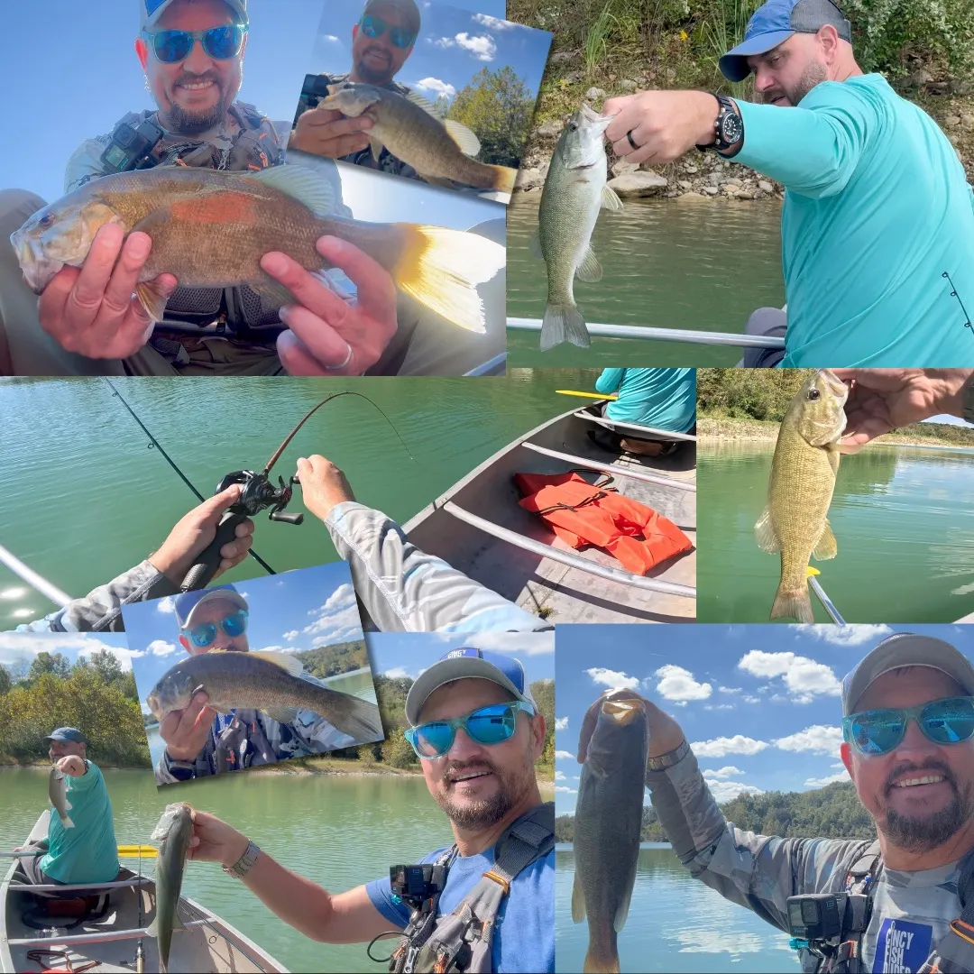 Smallmouth bass caught on Fishbrain