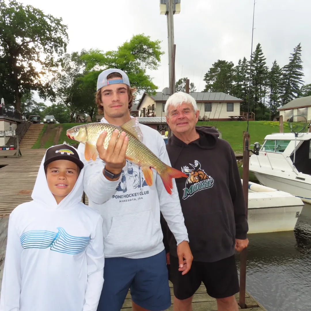 The most recent Silver redhorse catches on Fishbrain