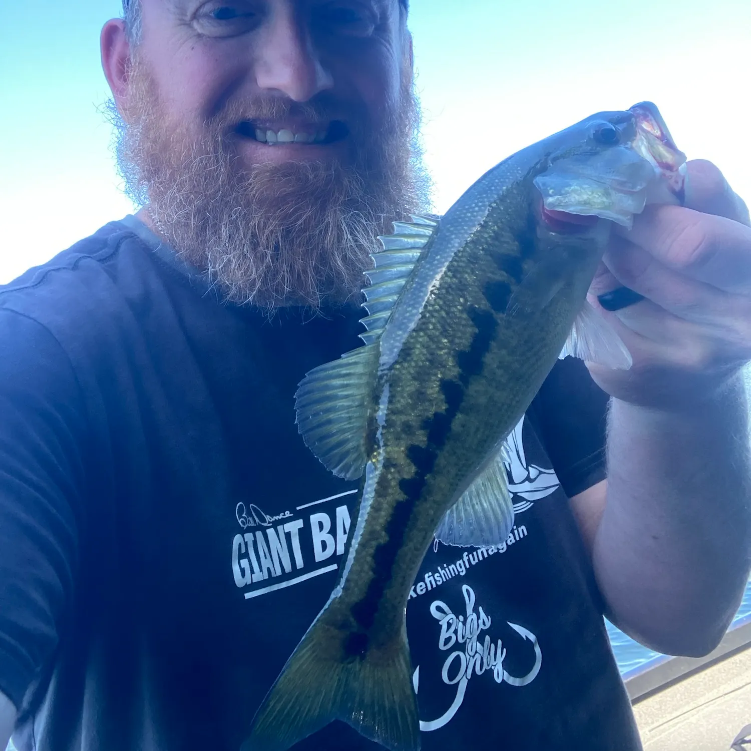 Largemouth bass caught on Fishbrain