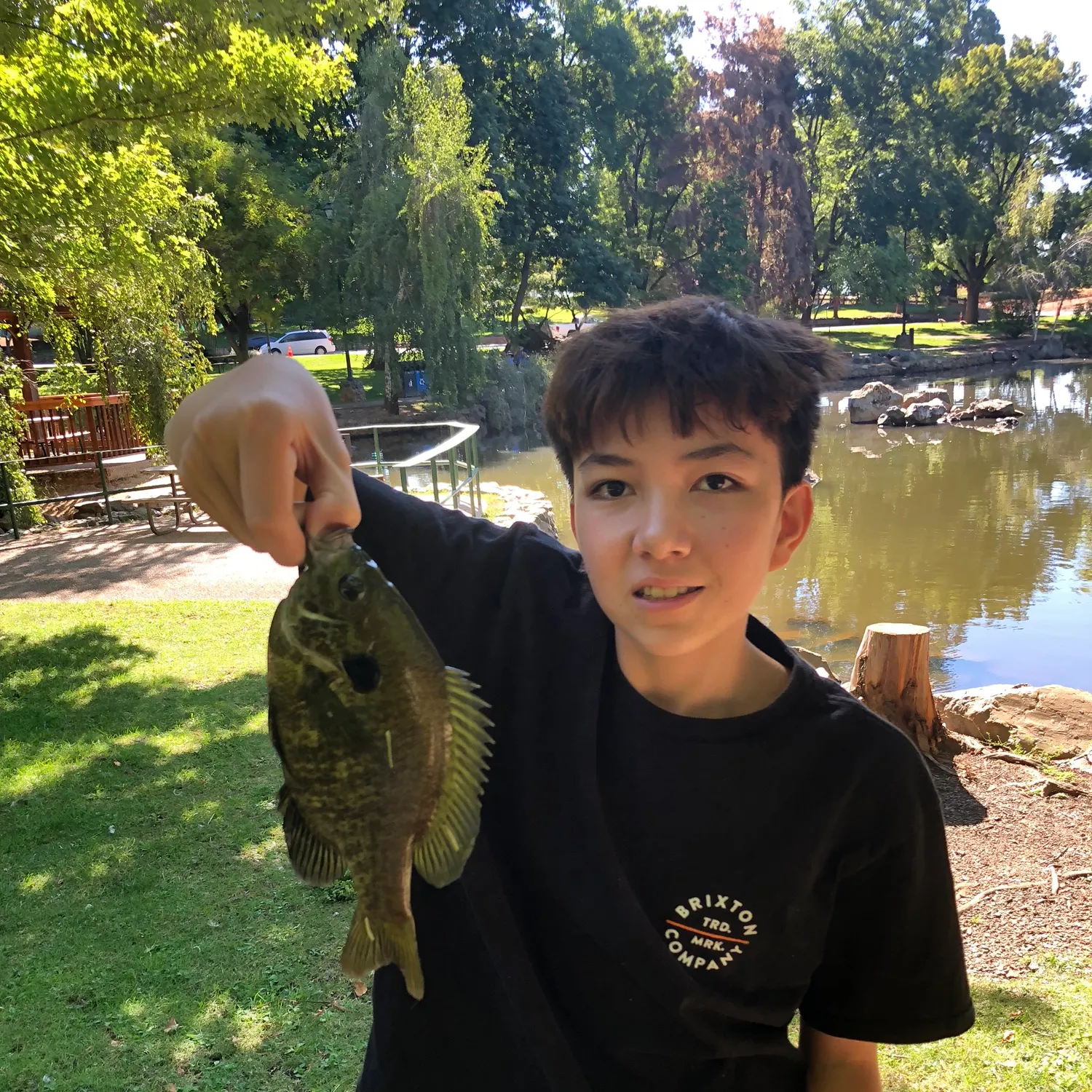 The most recent Wargill hybrid catches on Fishbrain