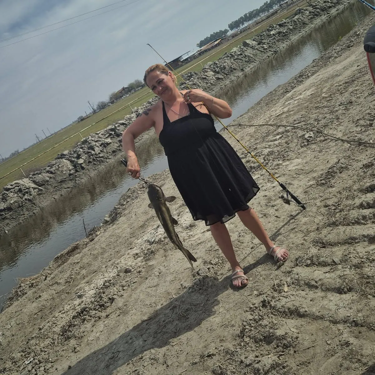 Channel catfish caught on Fishbrain