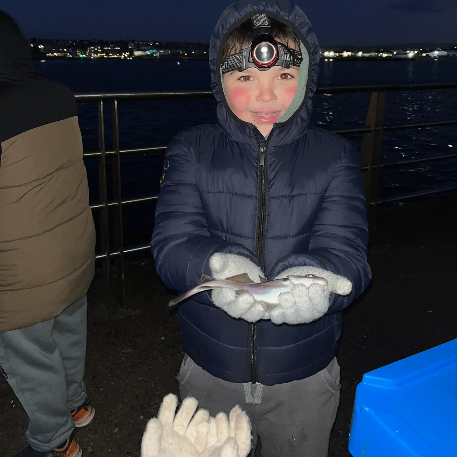 The most recent Pouting catches on Fishbrain