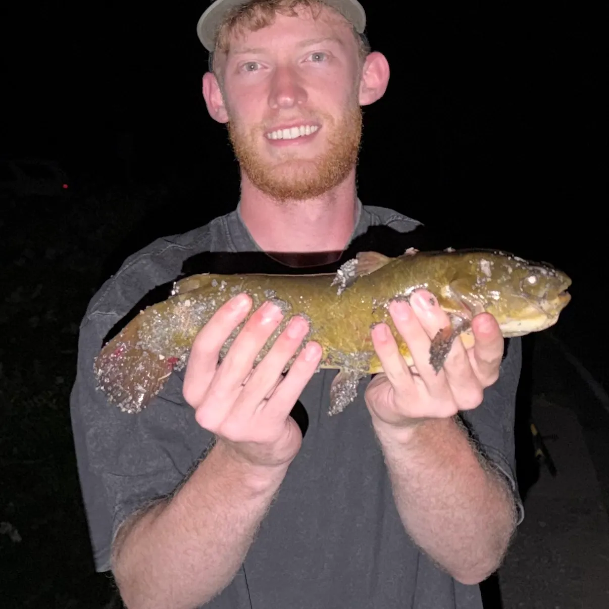 The most recent Brown bullhead catches on Fishbrain