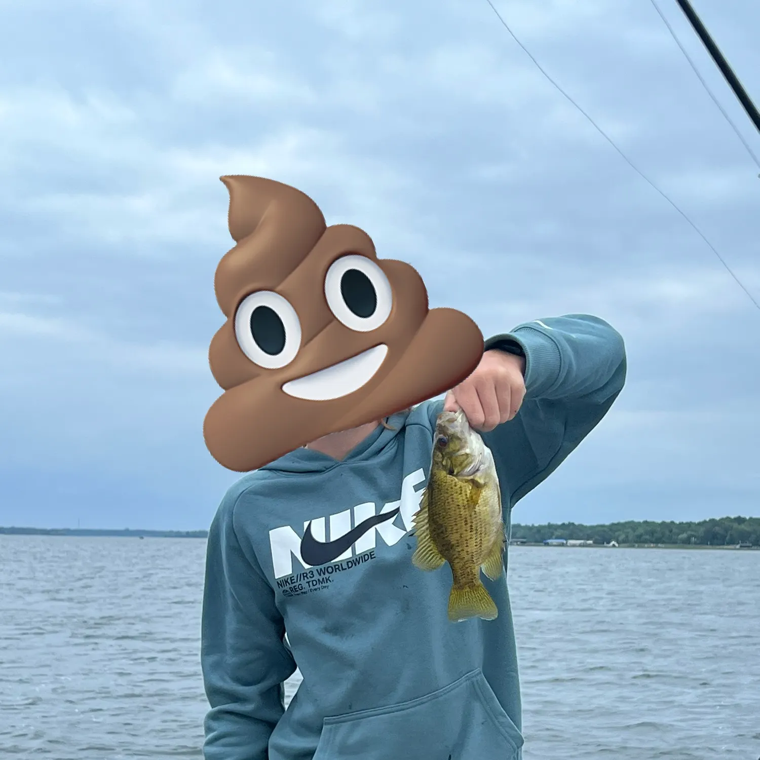 Rock bass caught on Fishbrain