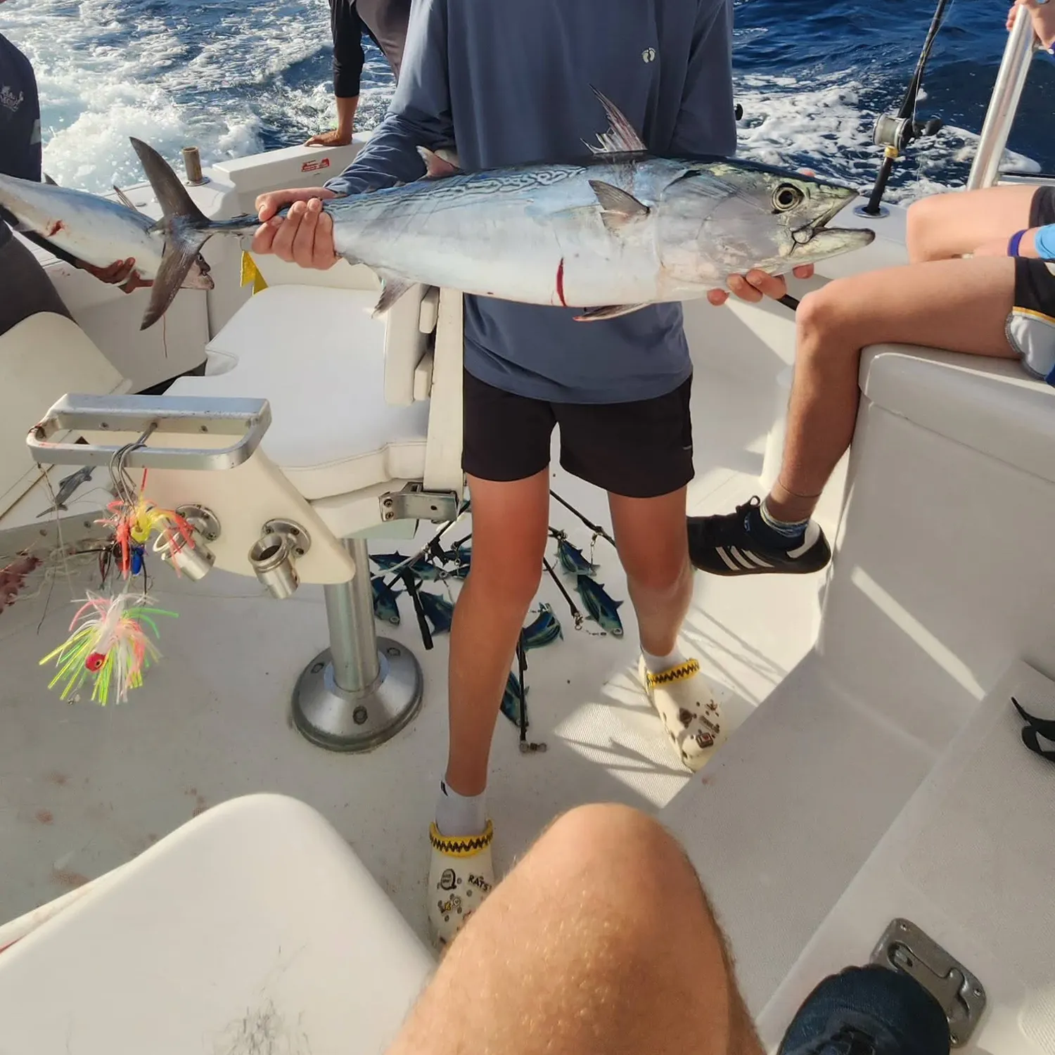 The most recent Plain bonito catches on Fishbrain