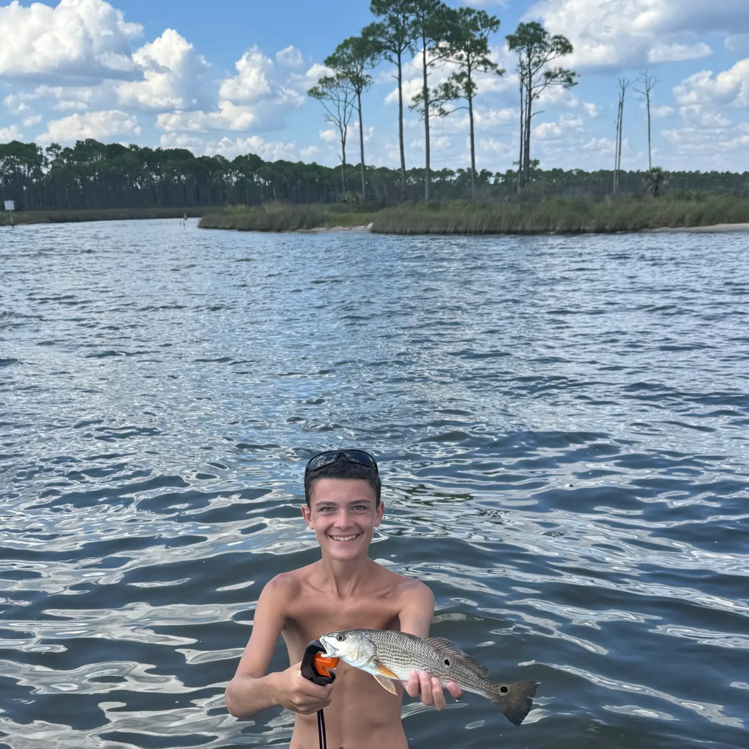 The most recent Red drum catches on Fishbrain