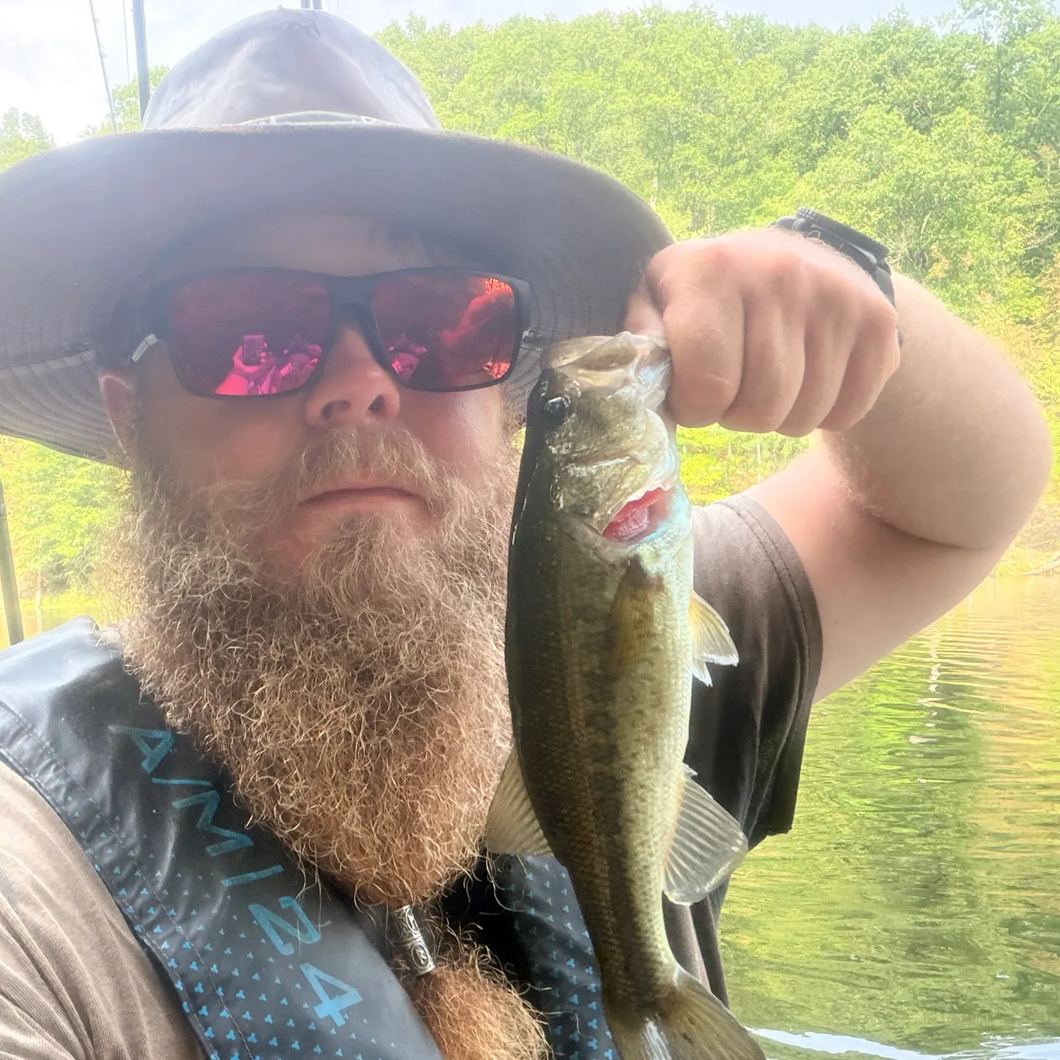 Largemouth bass caught on Fishbrain