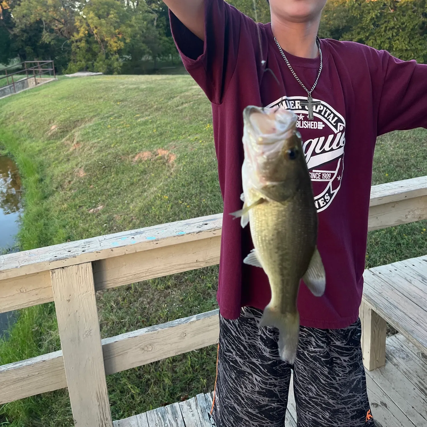 Largemouth bass caught on Fishbrain
