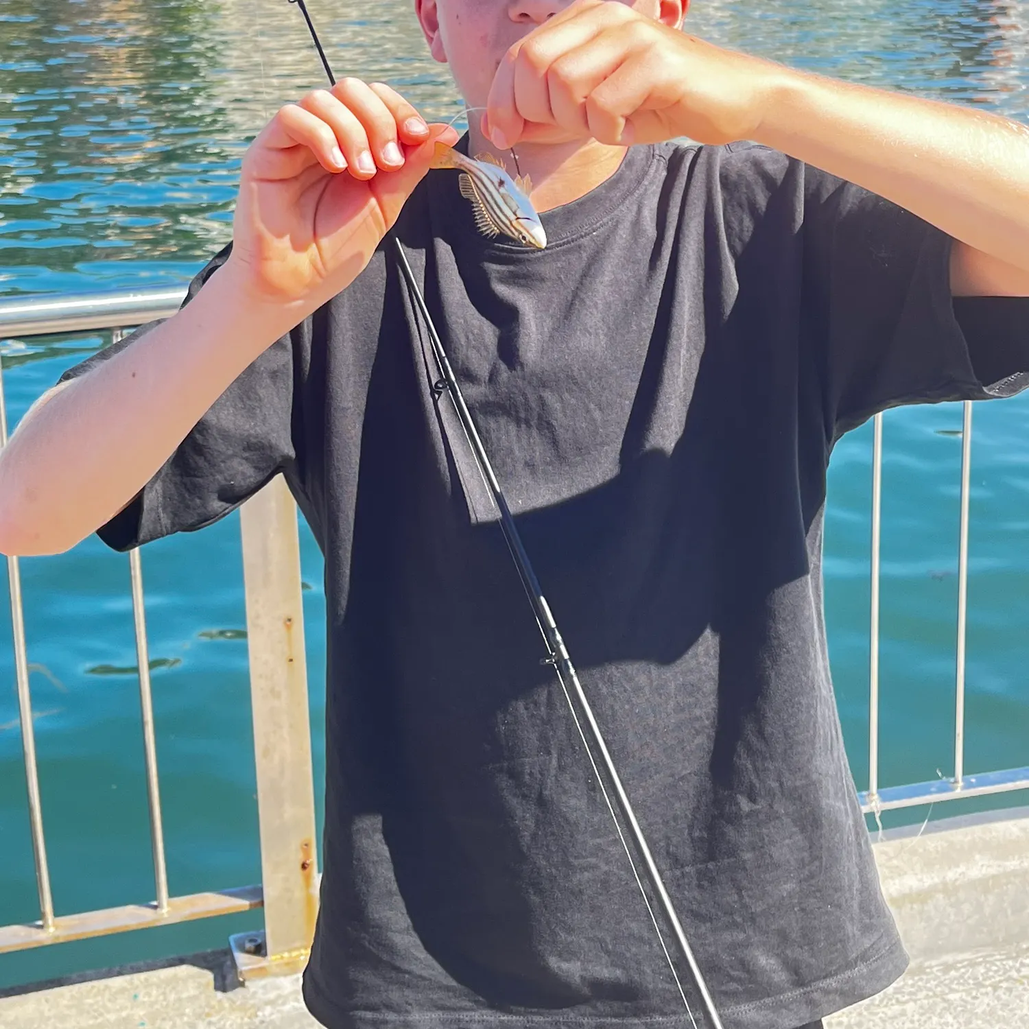 Fish caught on Fishbrain