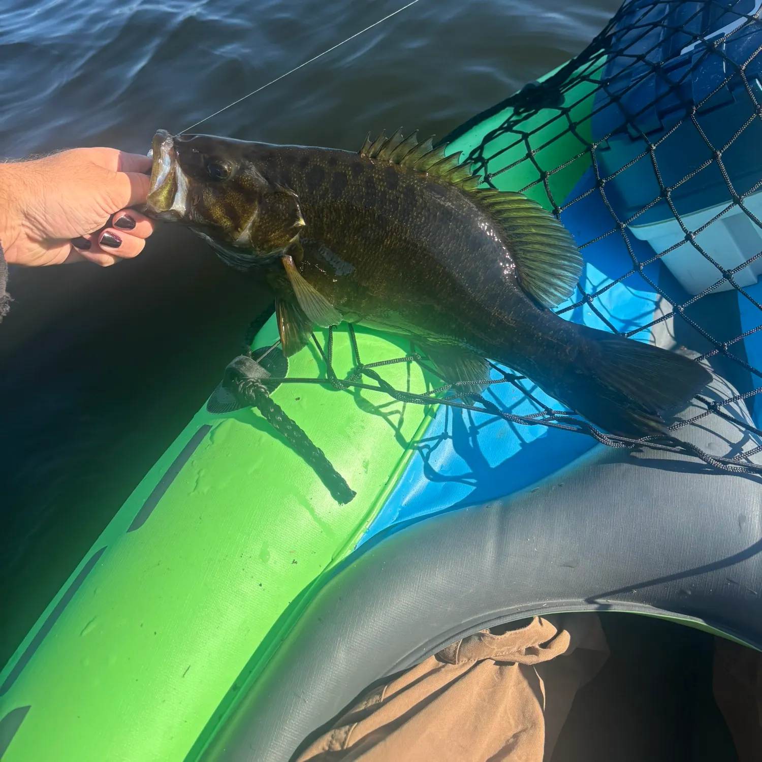 Smallmouth bass caught on Fishbrain