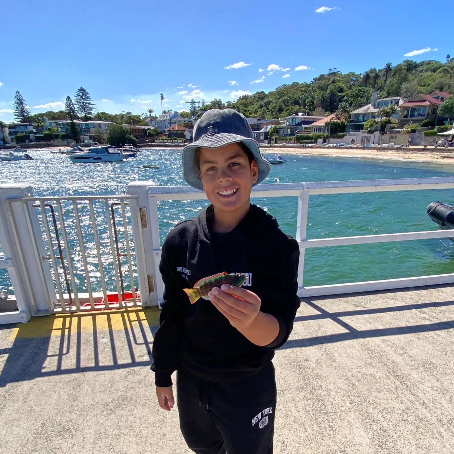 The most recent Gunther's wrasse catches on Fishbrain