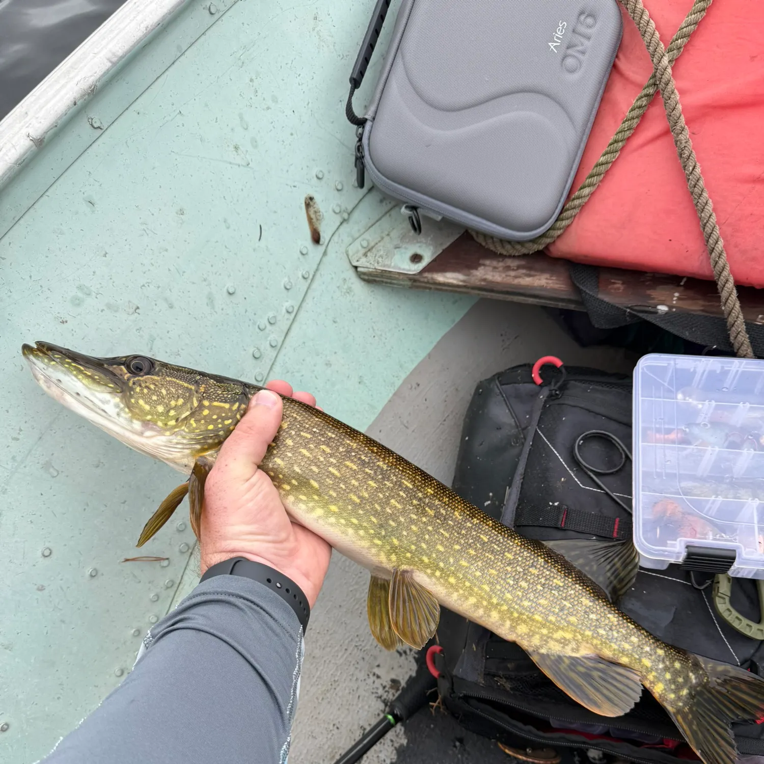 recently logged catches