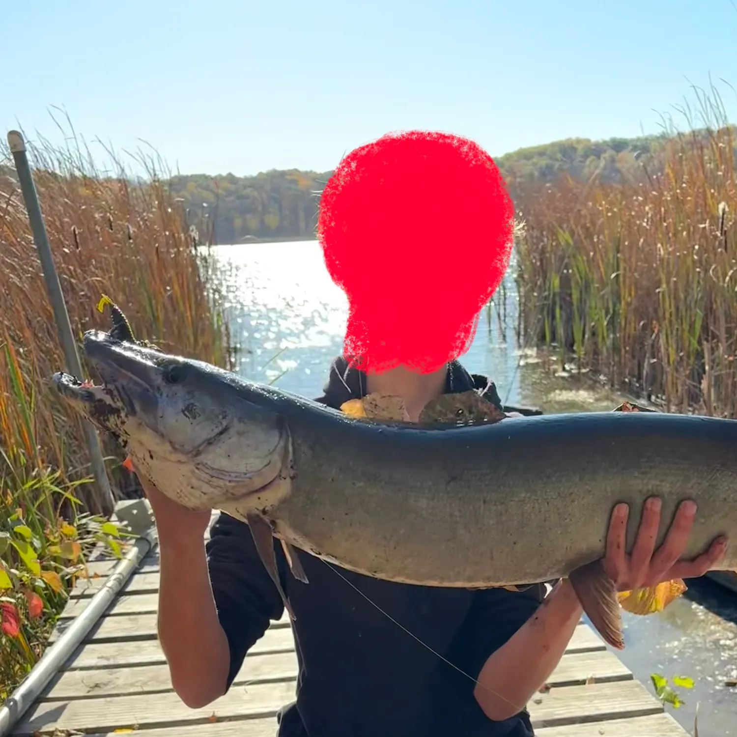 Muskie caught on Fishbrain