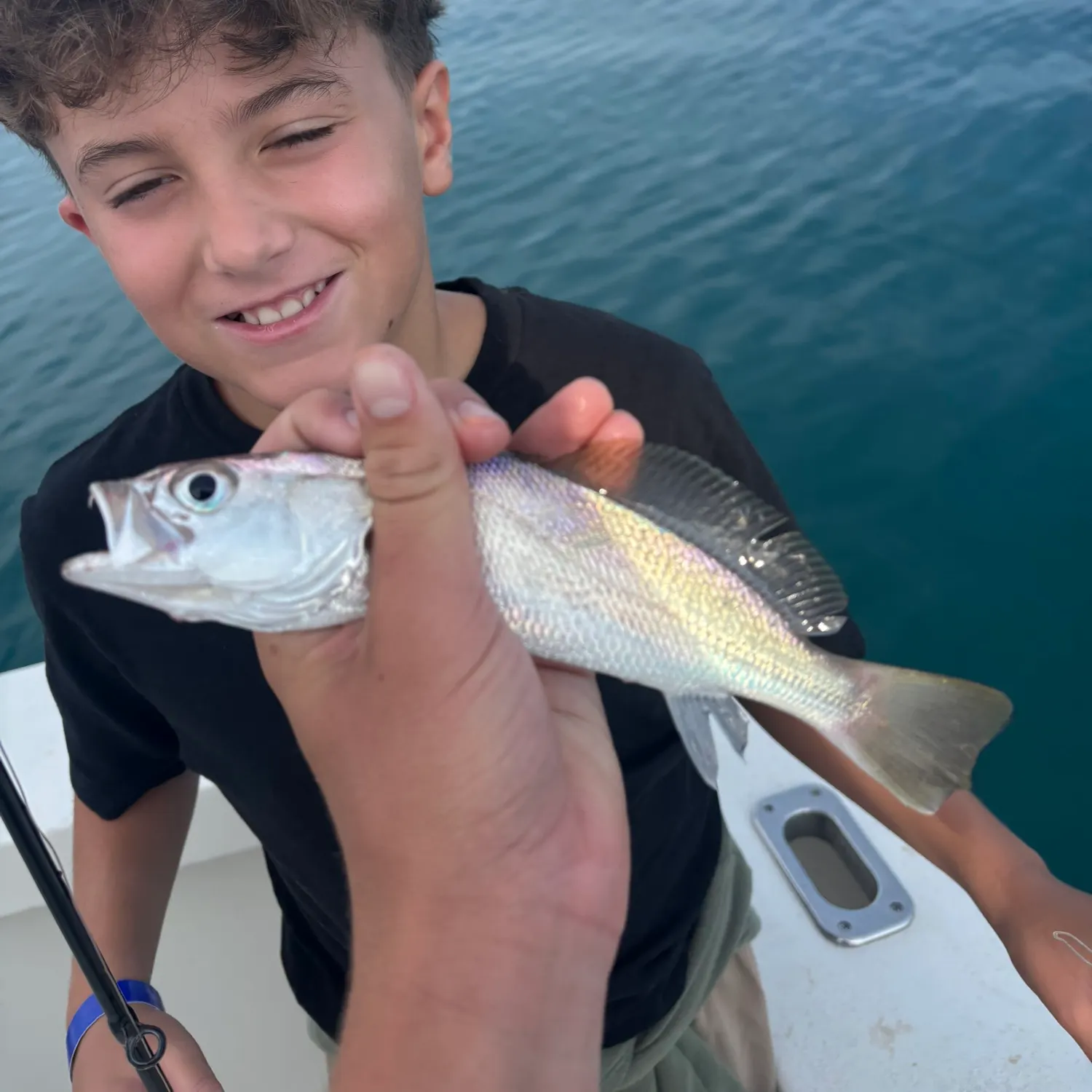 The most recent Sand seatrout catches on Fishbrain