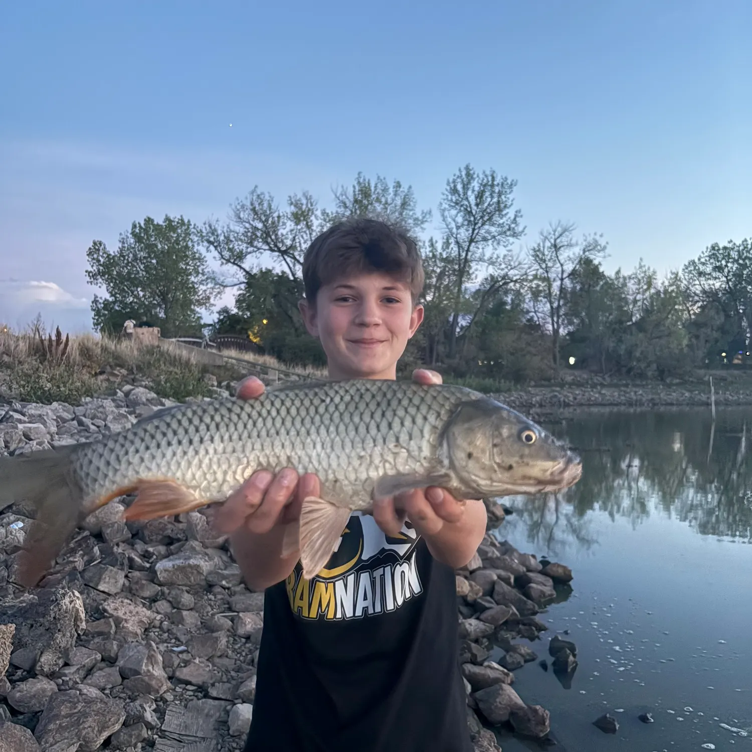 Ghost carp caught on Fishbrain