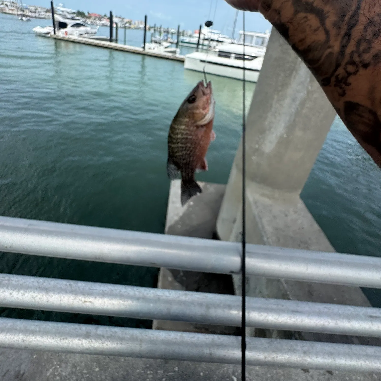 catch