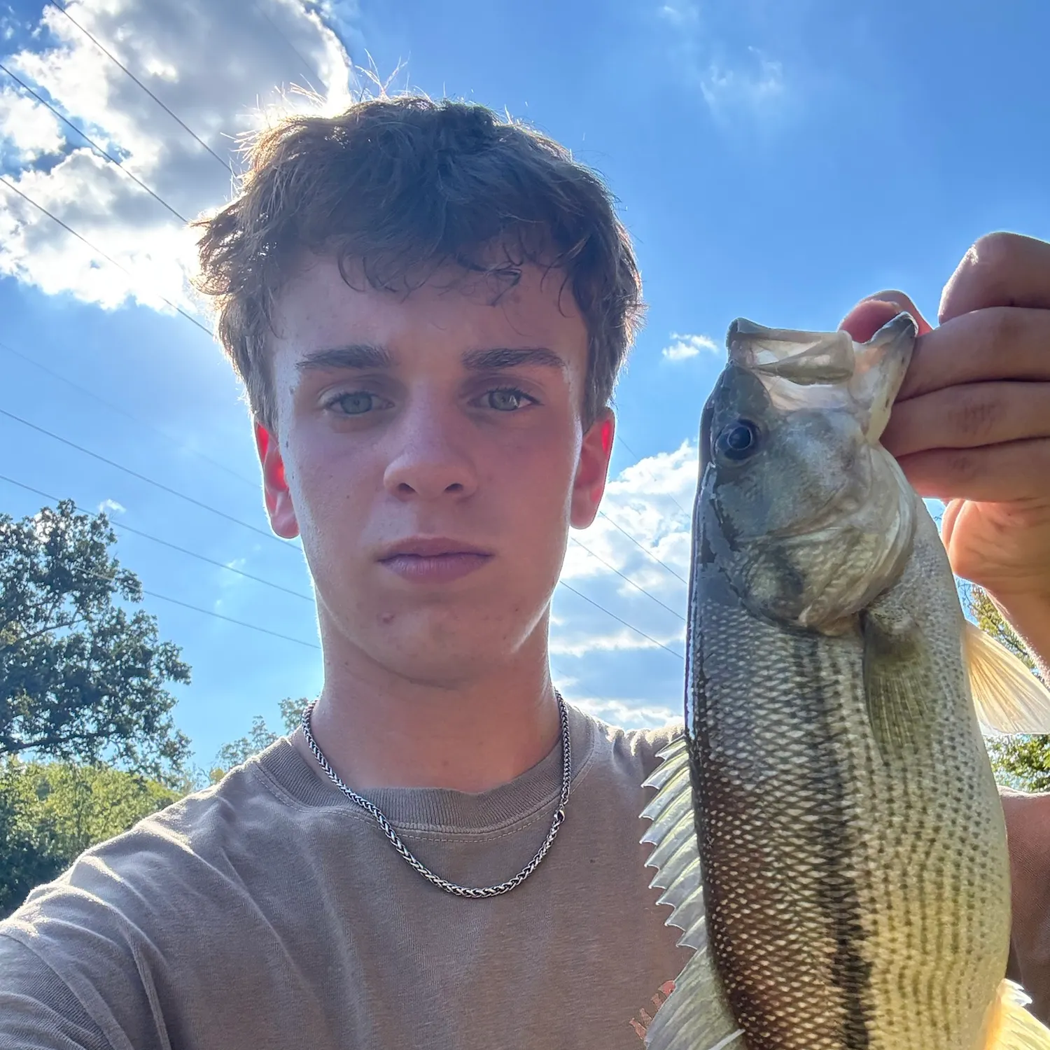 Spotted bass caught on Fishbrain