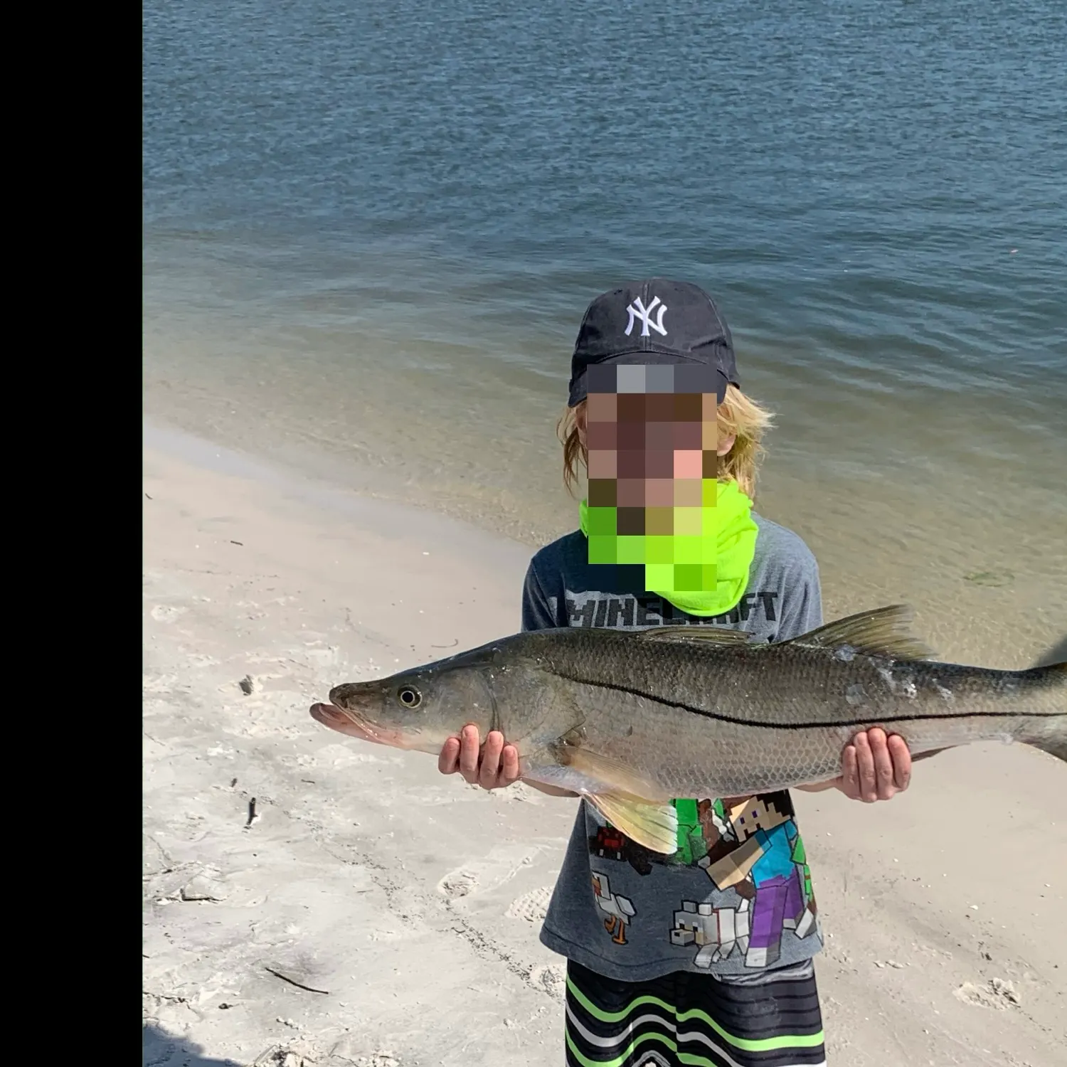 The most recent Common snook catches on Fishbrain