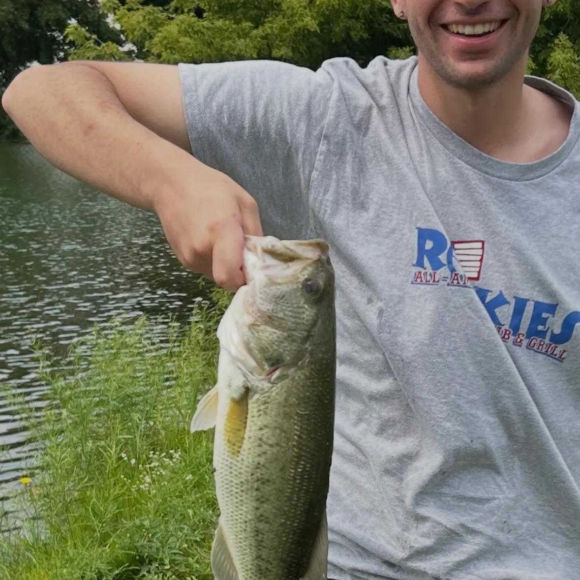 Largemouth bass caught on Fishbrain