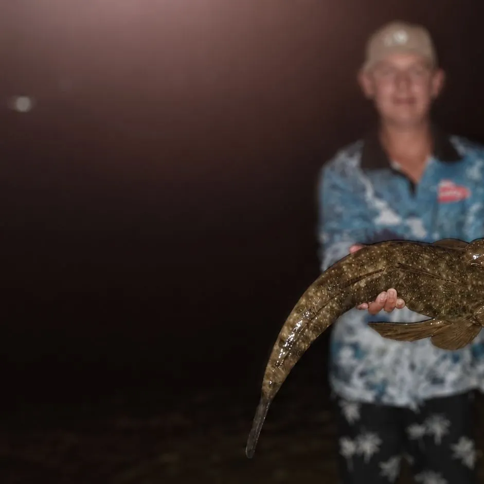 Dusky flathead caught on Fishbrain