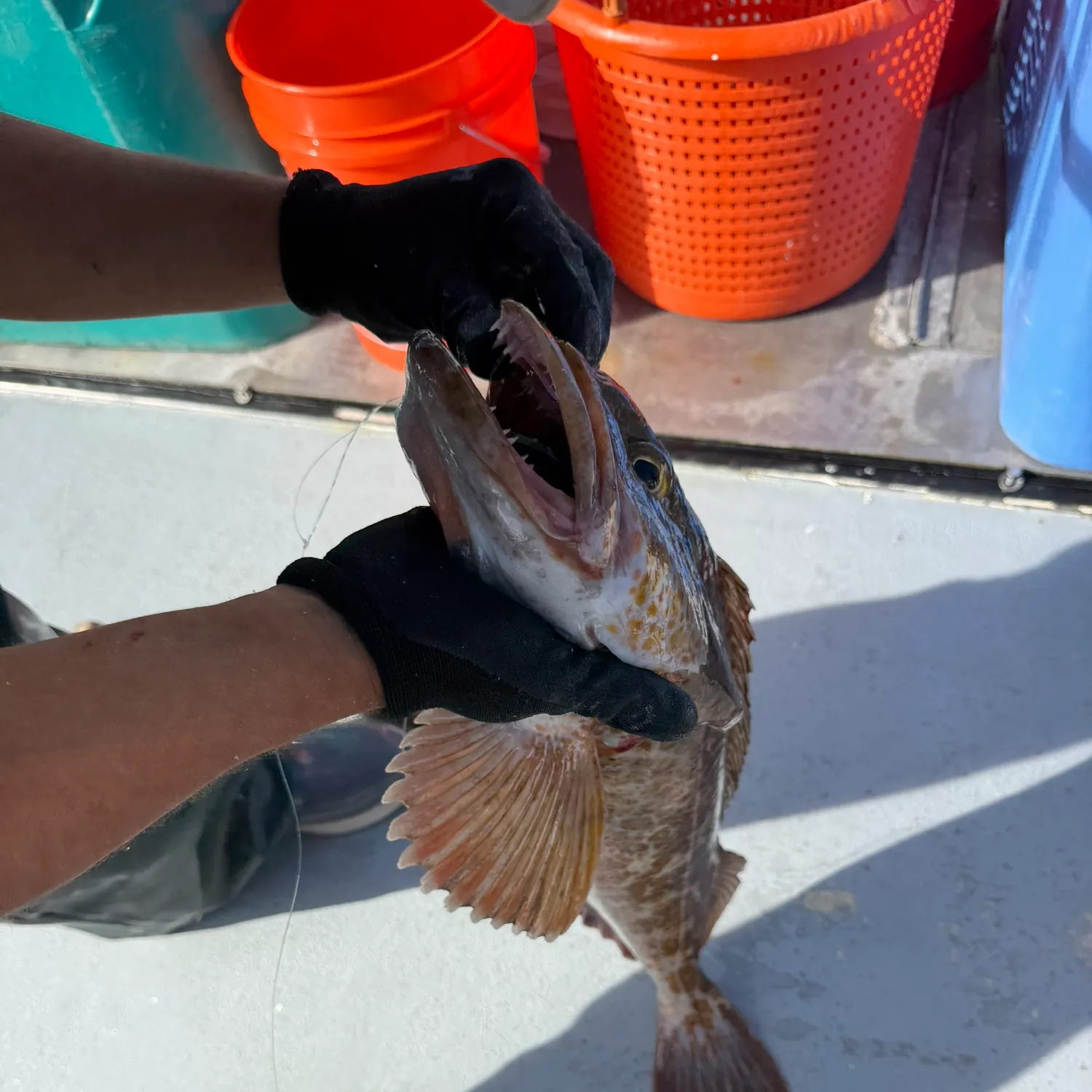 catch