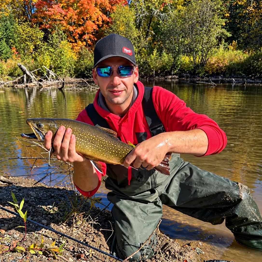 Brook trout caught on Fishbrain