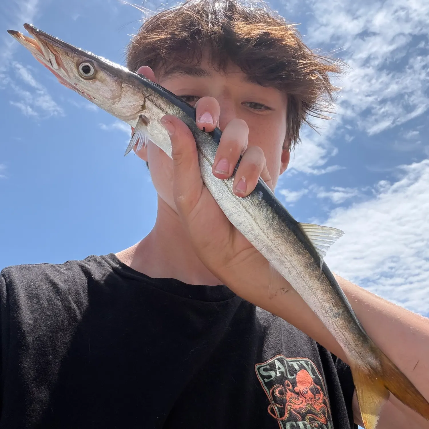 The most recent Pacific barracuda catches on Fishbrain