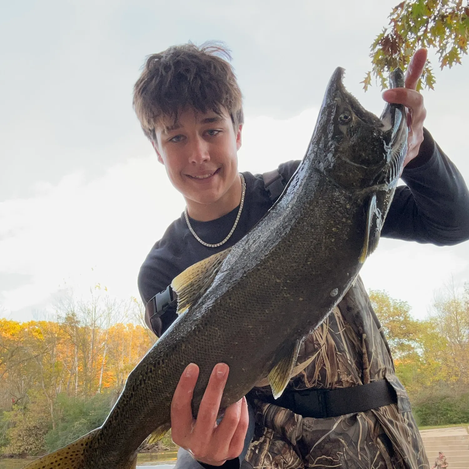 Chinook salmon caught on Fishbrain