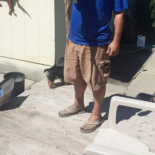 The most recent Pallid sturgeon catches on Fishbrain