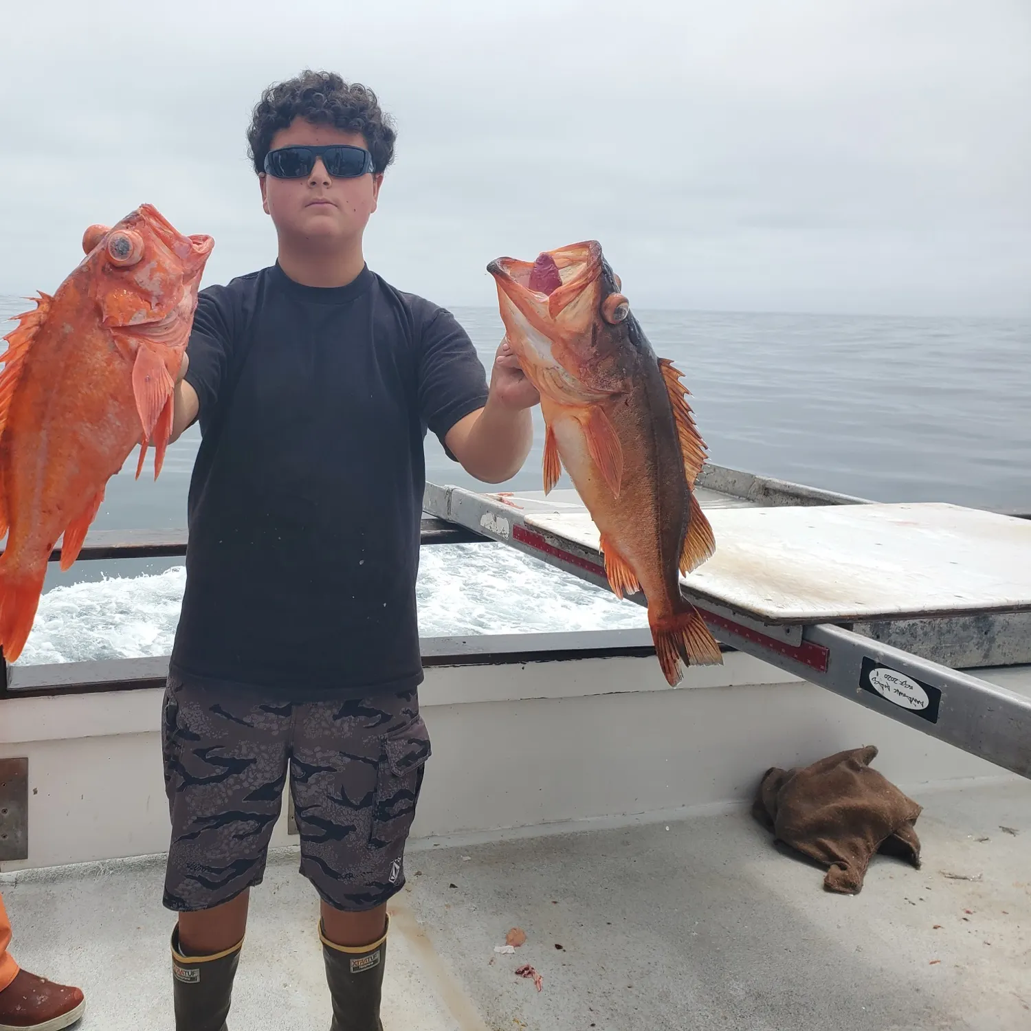 The most recent Copper rockfish catches on Fishbrain