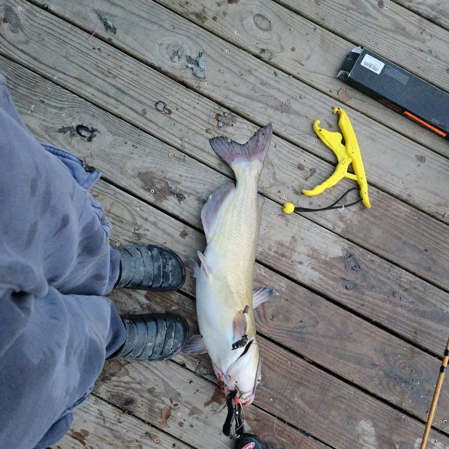 catch
