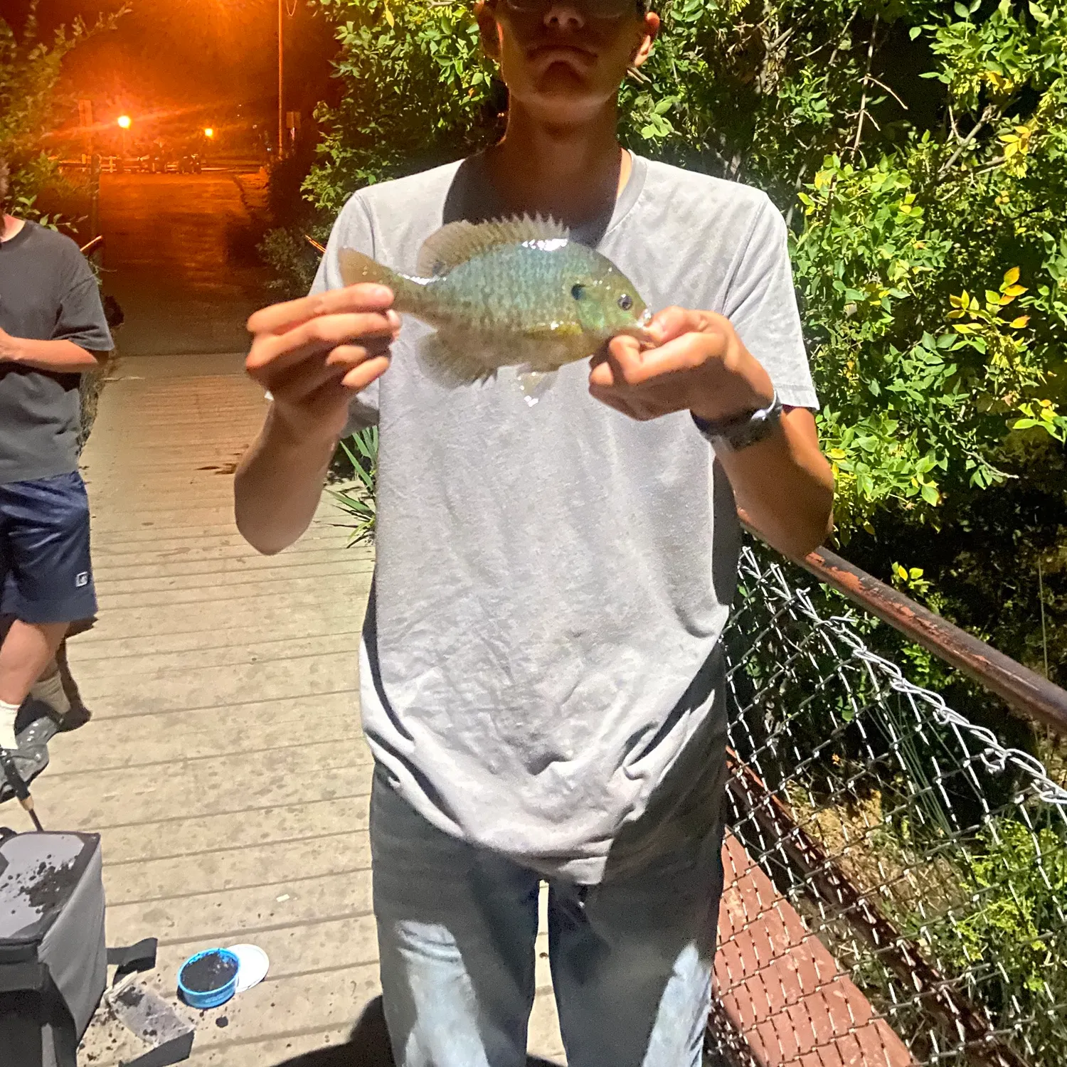 catch