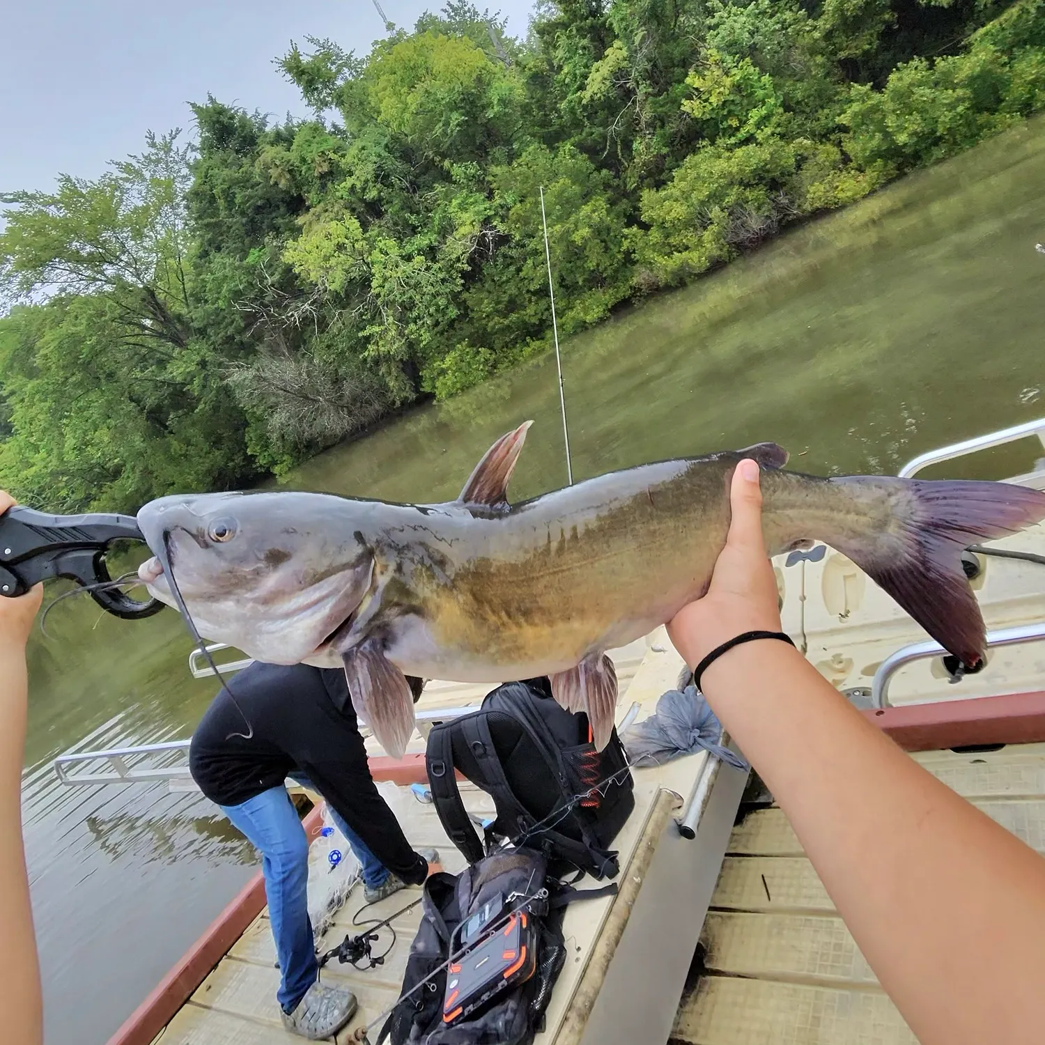 catch