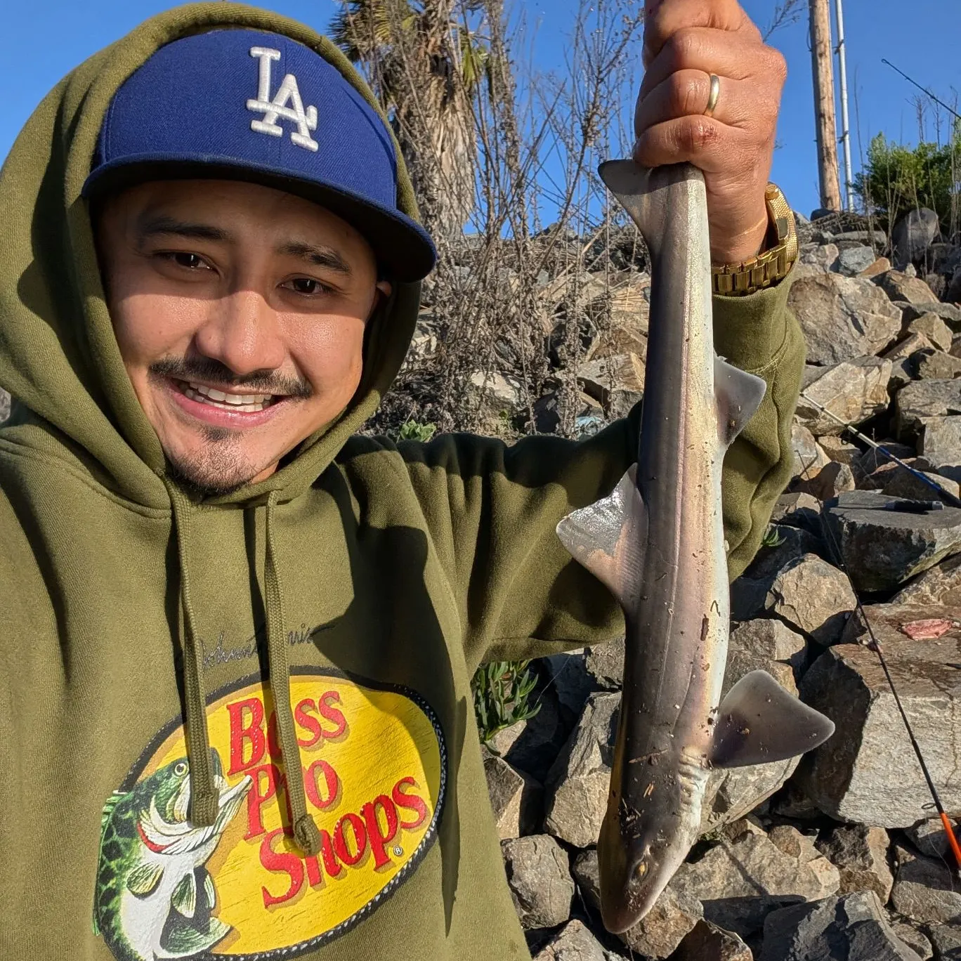 The most popular recent Common smooth-hound catch on Fishbrain