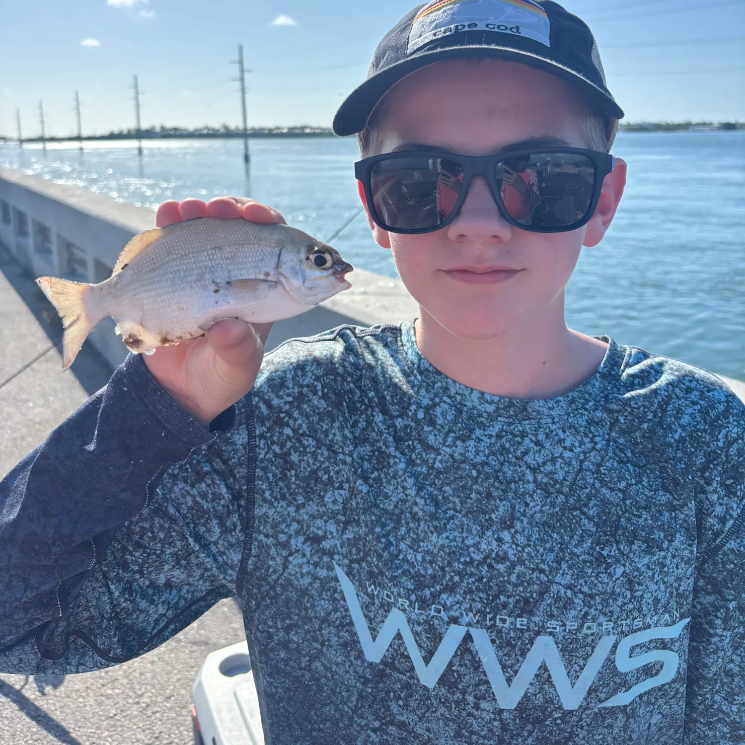 The most recent Bermuda sea chub catches on Fishbrain