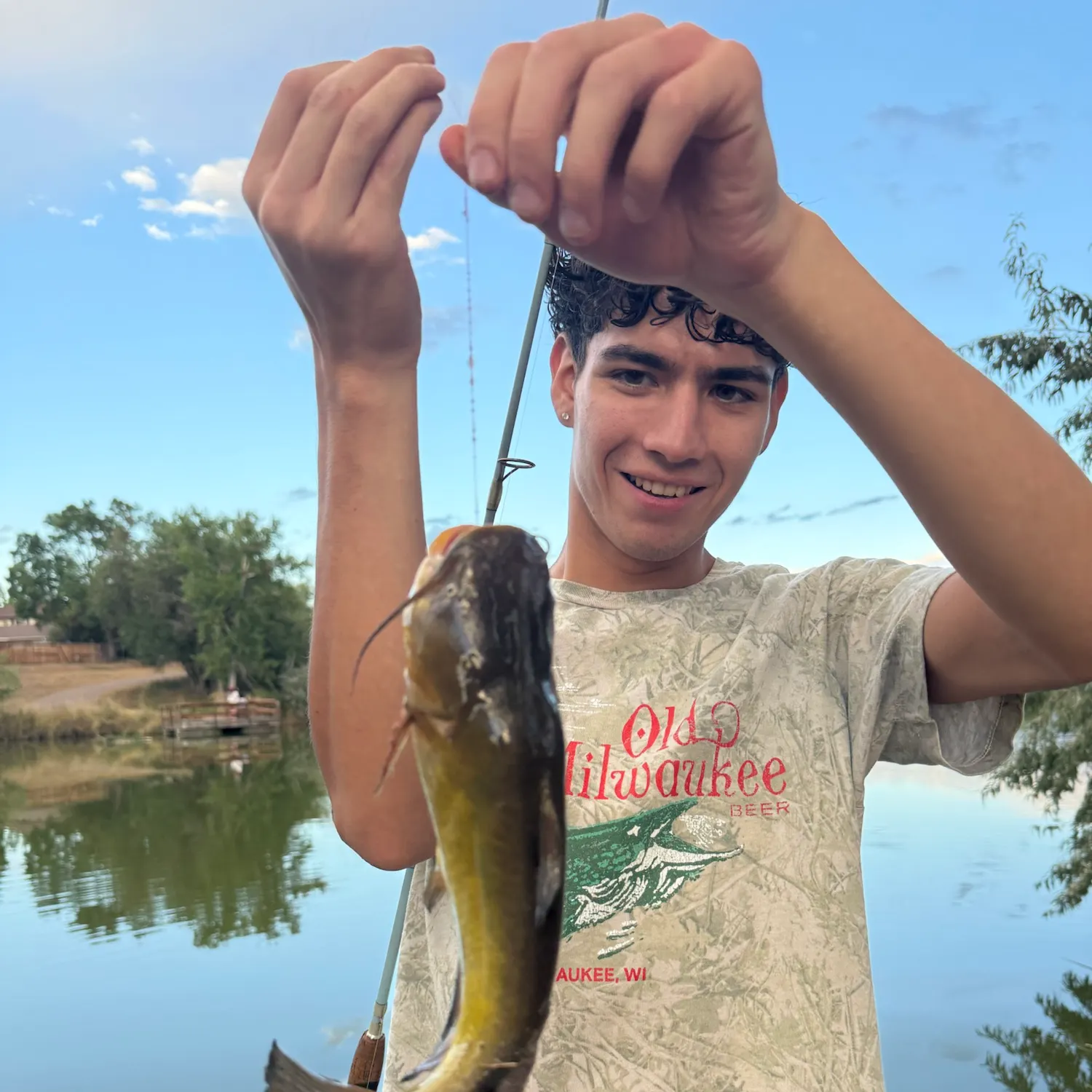 Yellow bullhead caught on Fishbrain