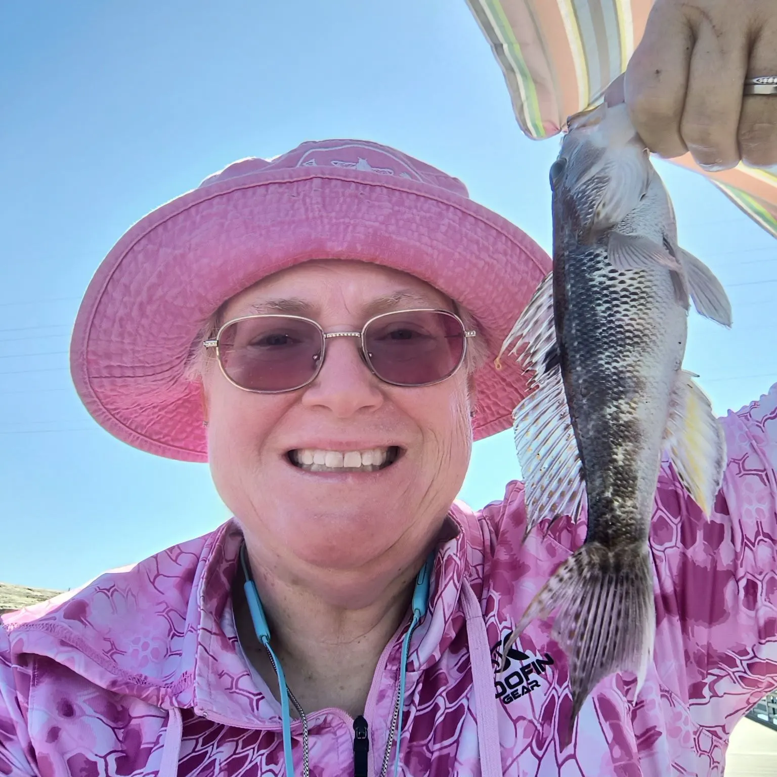 Rock sea bass caught on Fishbrain