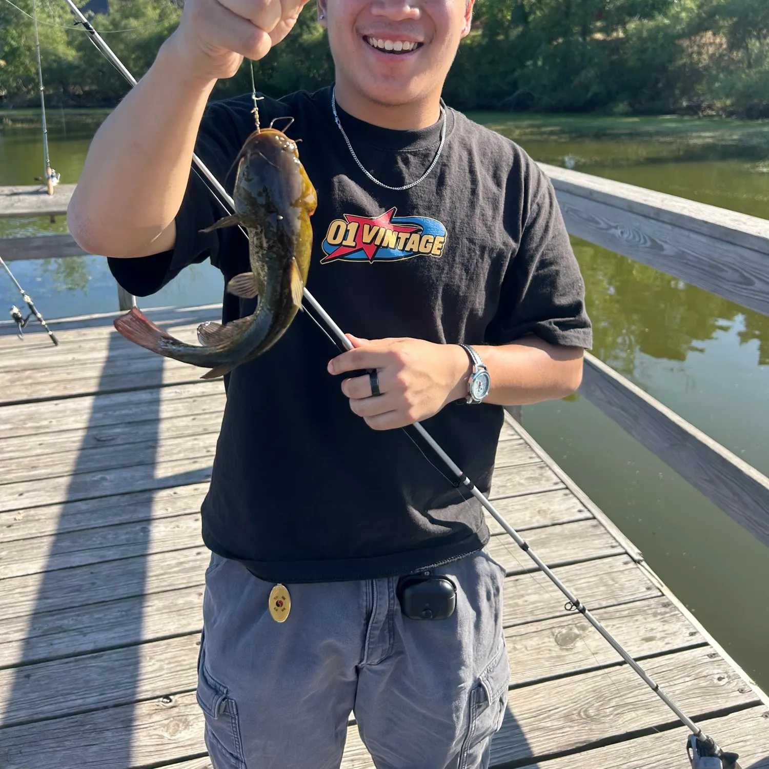 Yellow bullhead caught on Fishbrain