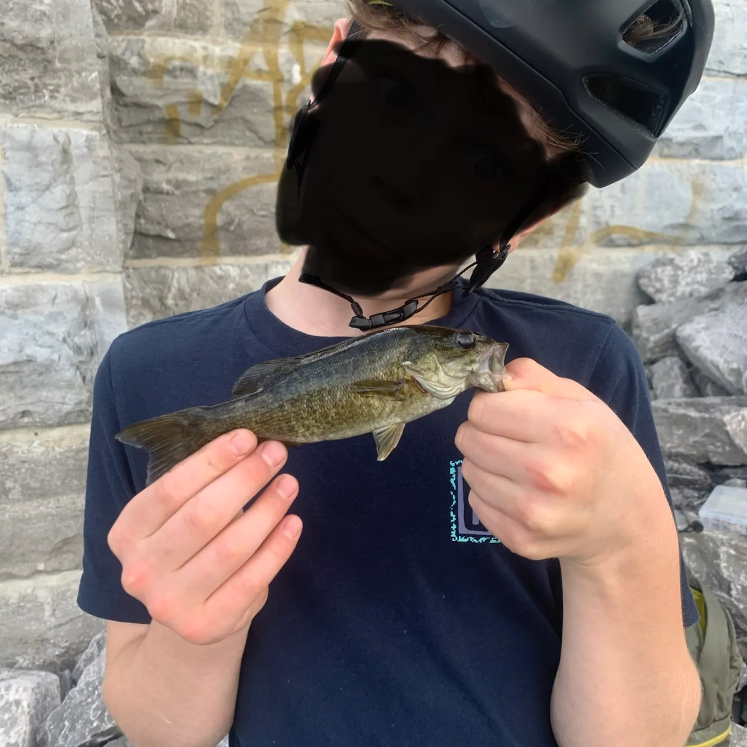 Smallmouth bass caught on Fishbrain