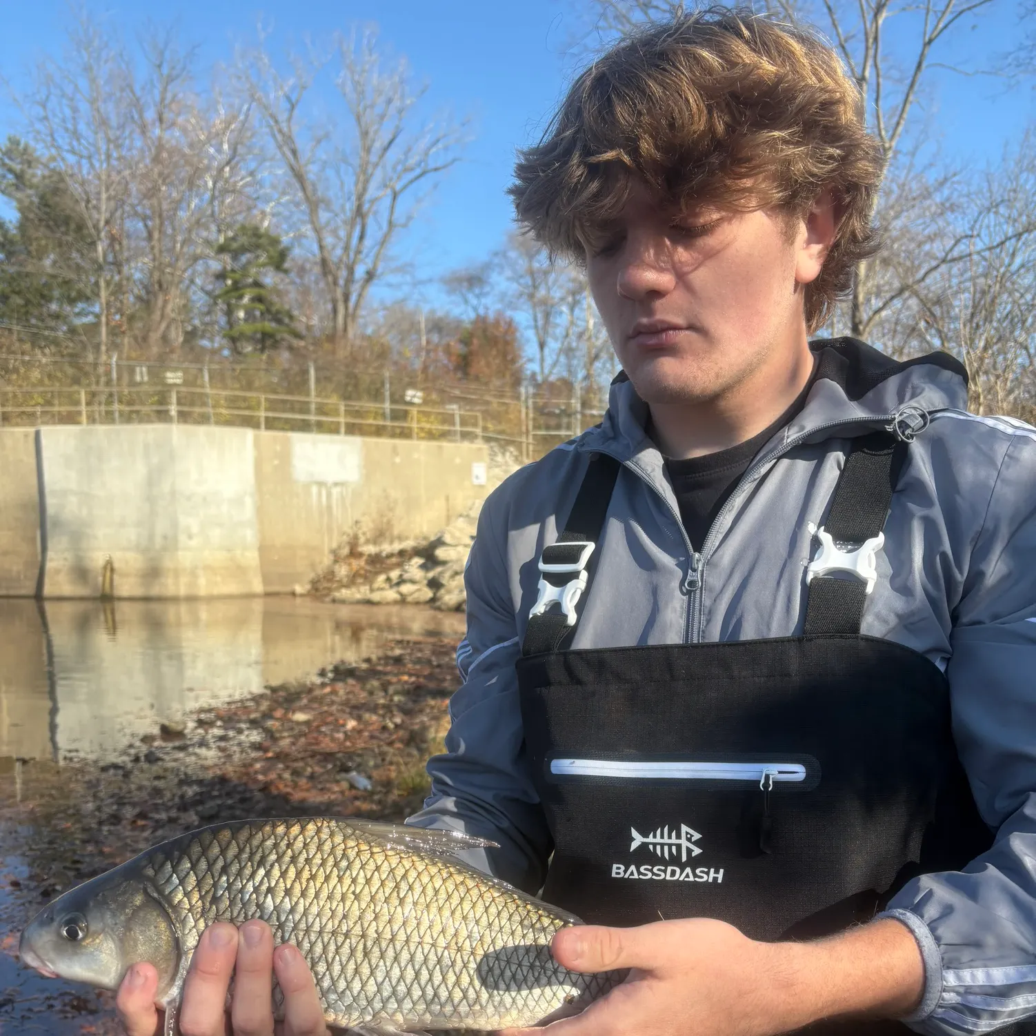 The most recent Quillback catches on Fishbrain