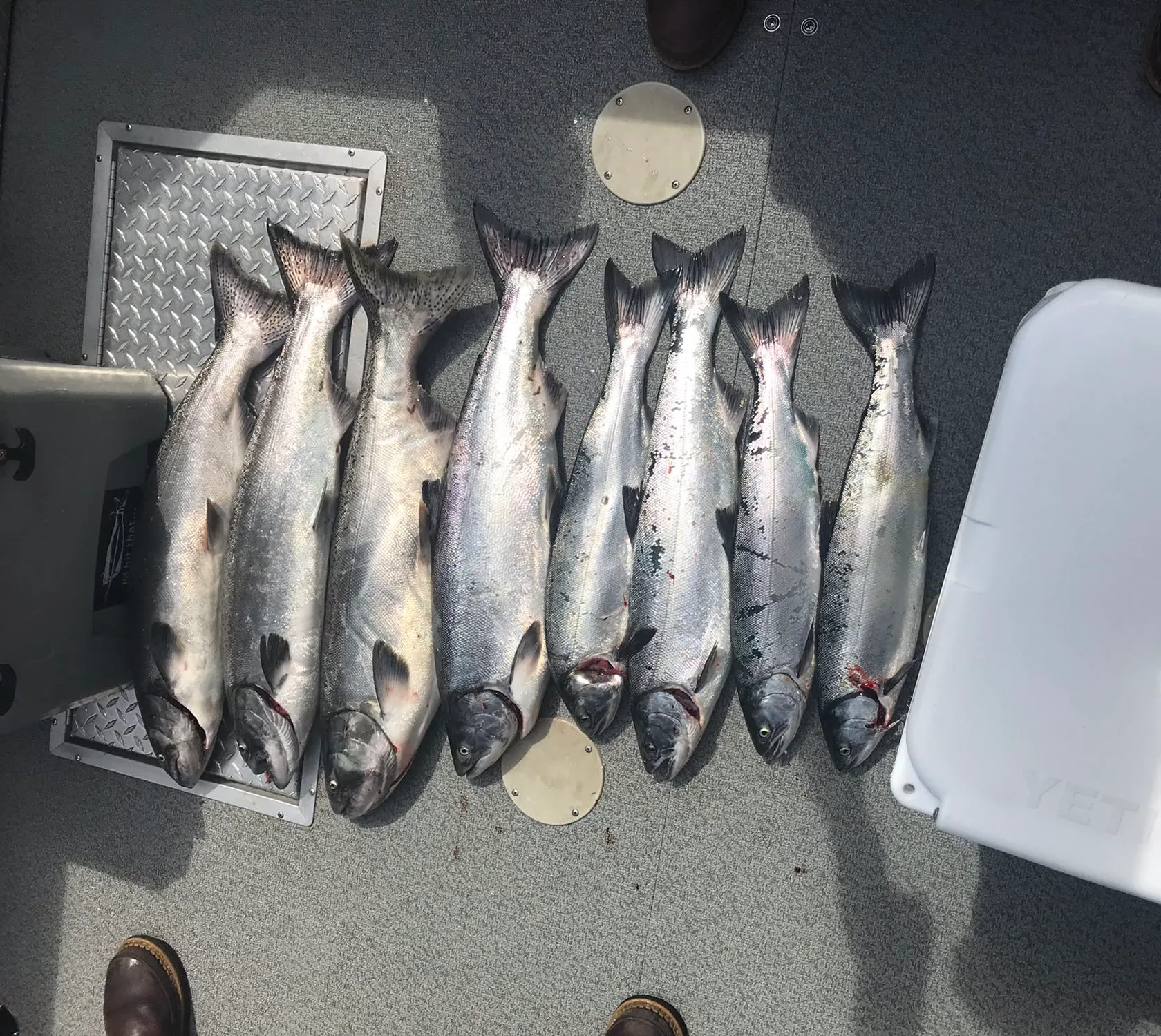 recently logged catches