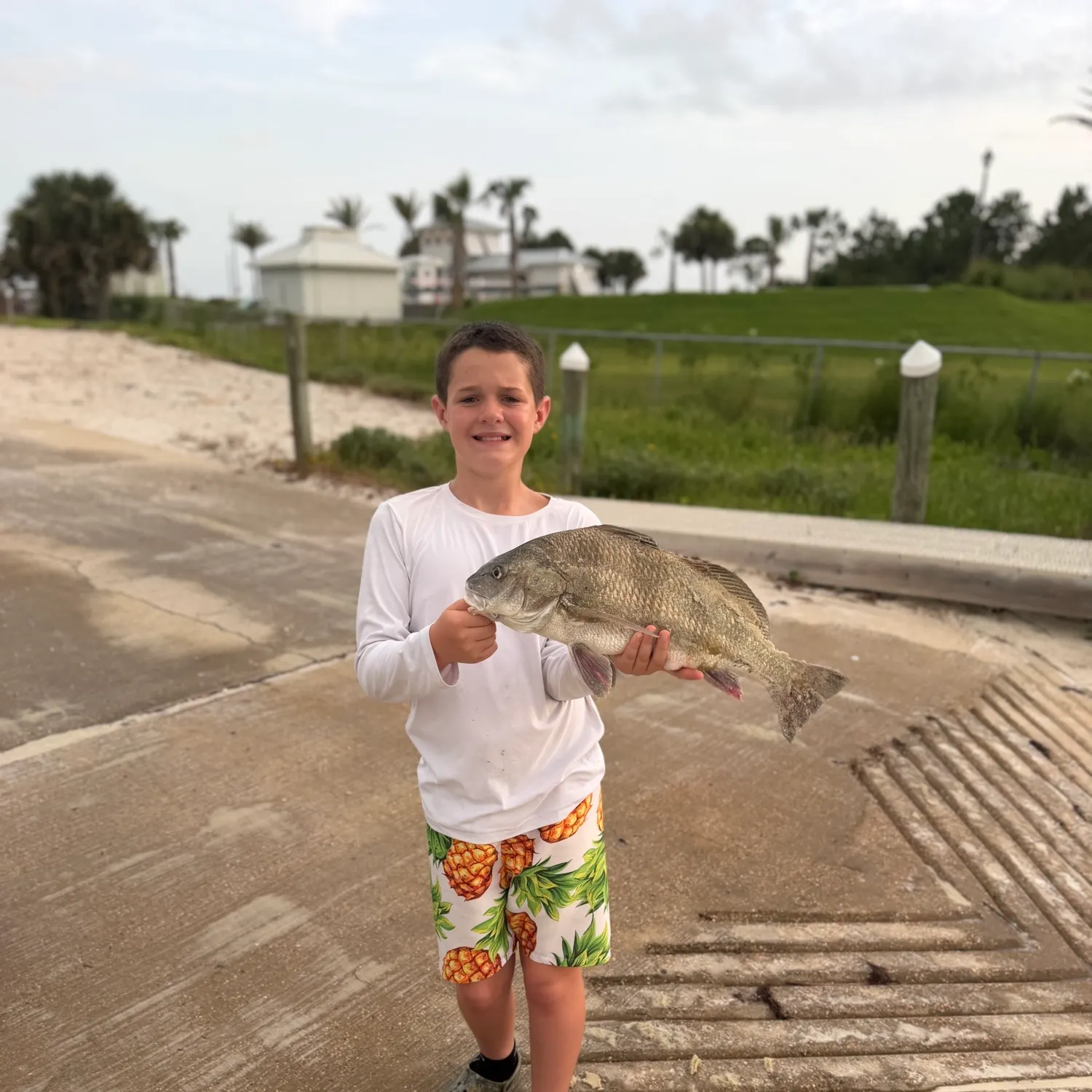 The most recent Black and white snapper catches on Fishbrain
