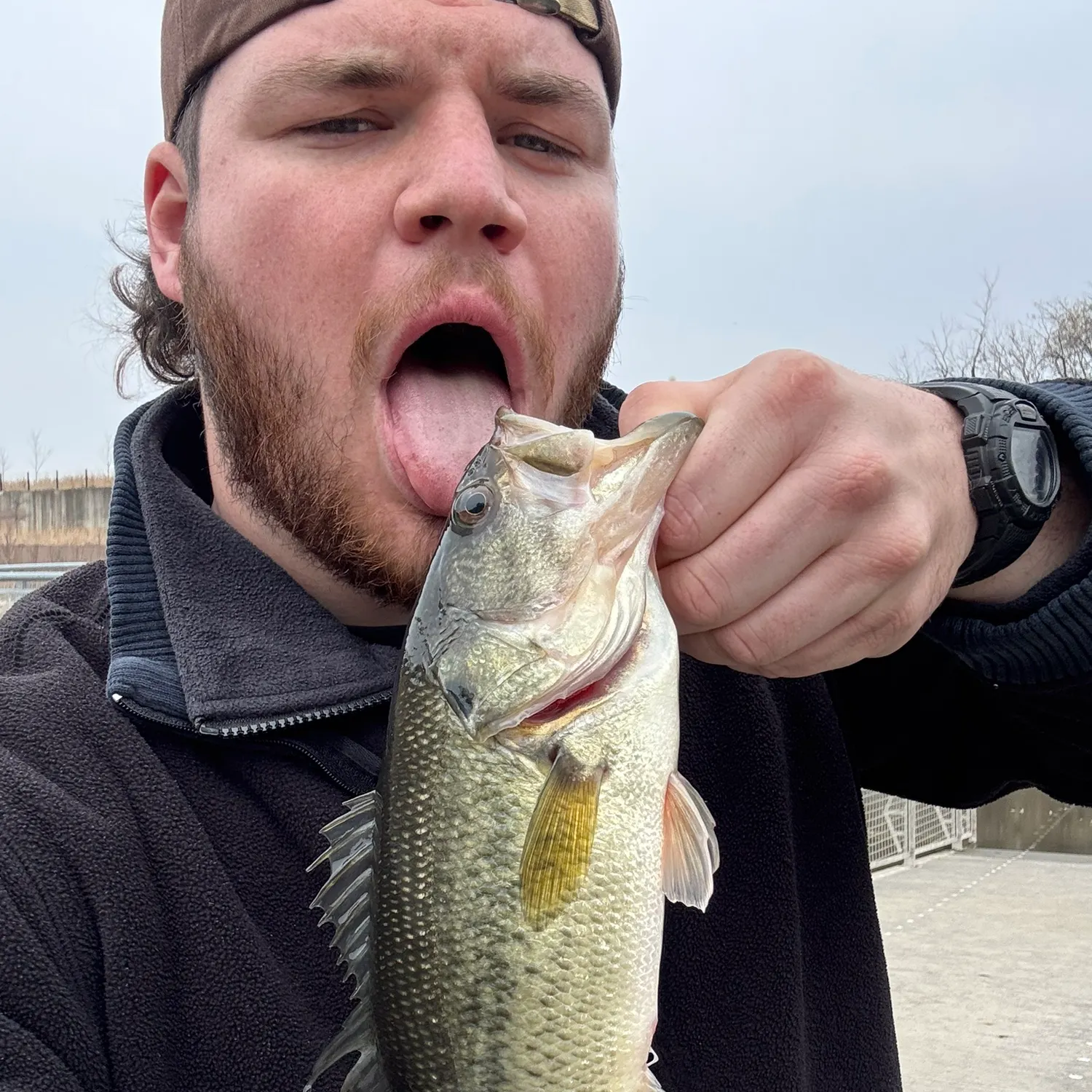 catch