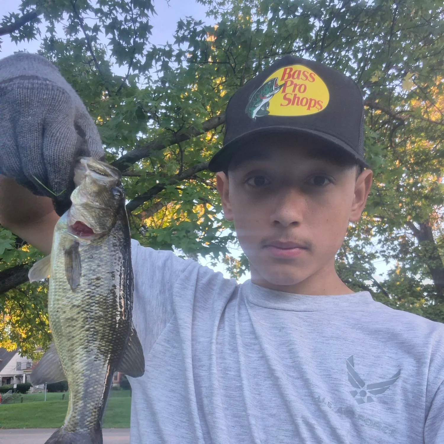 Smallmouth bass caught on Fishbrain