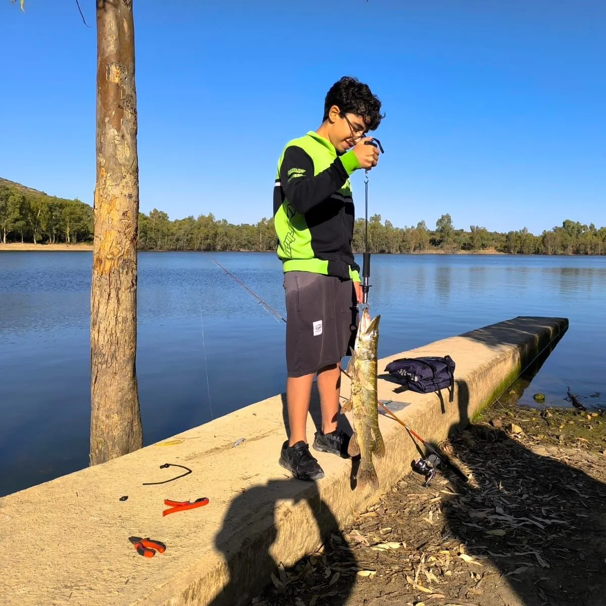 Northern pike caught on Fishbrain