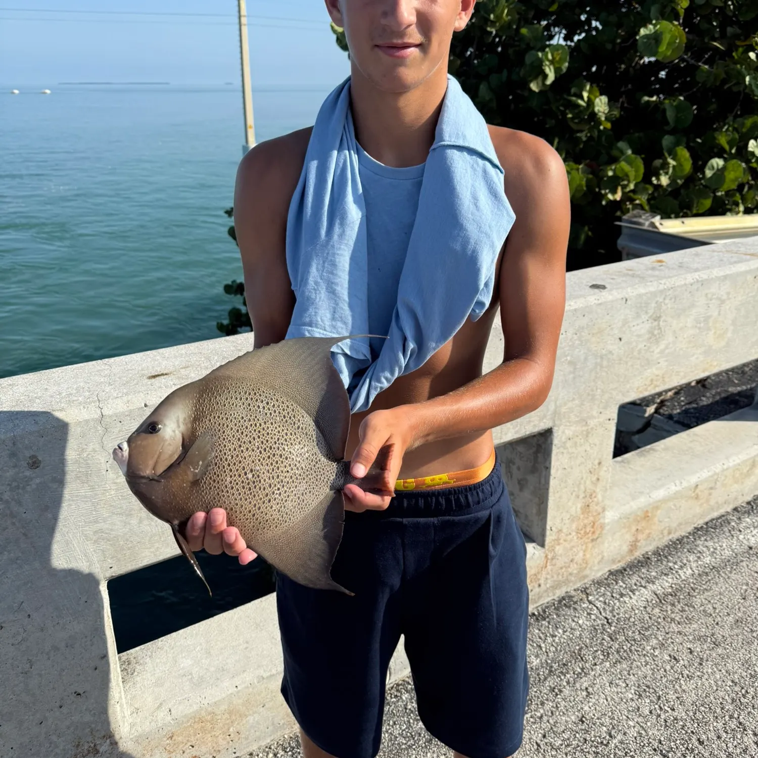 The most recent Queen angelfish catches on Fishbrain