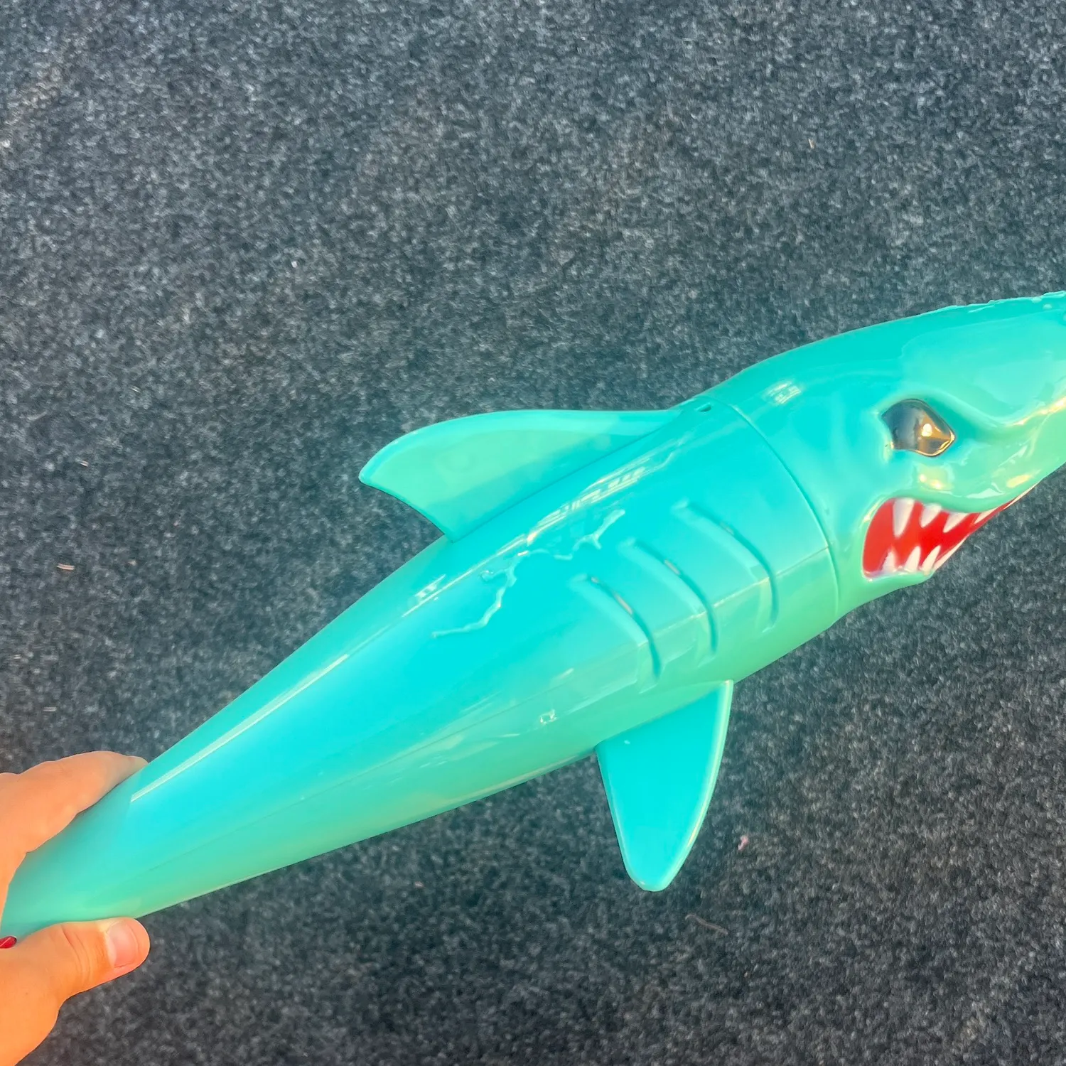 Bull shark caught on Fishbrain