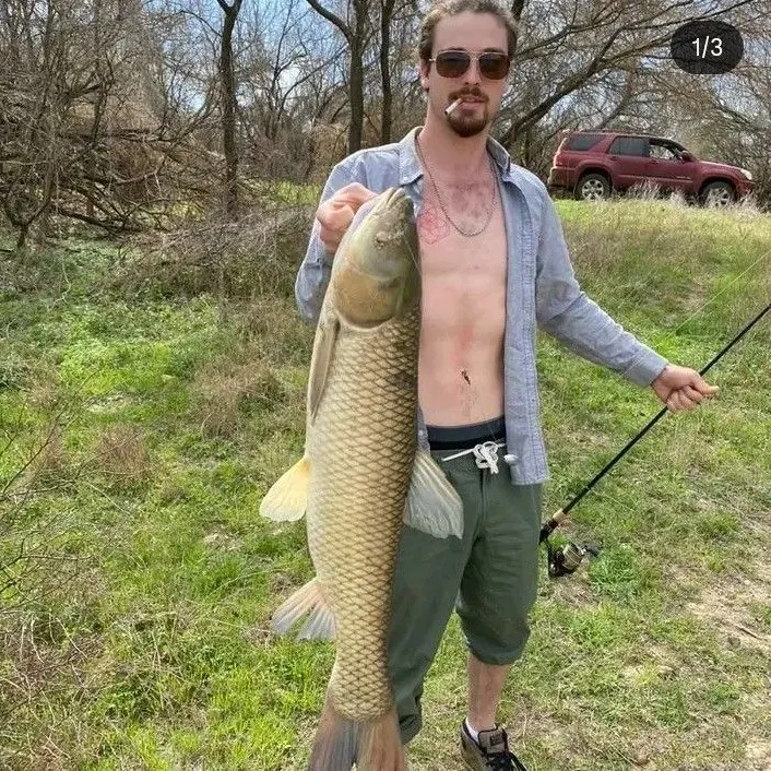 Grass carp caught on Fishbrain